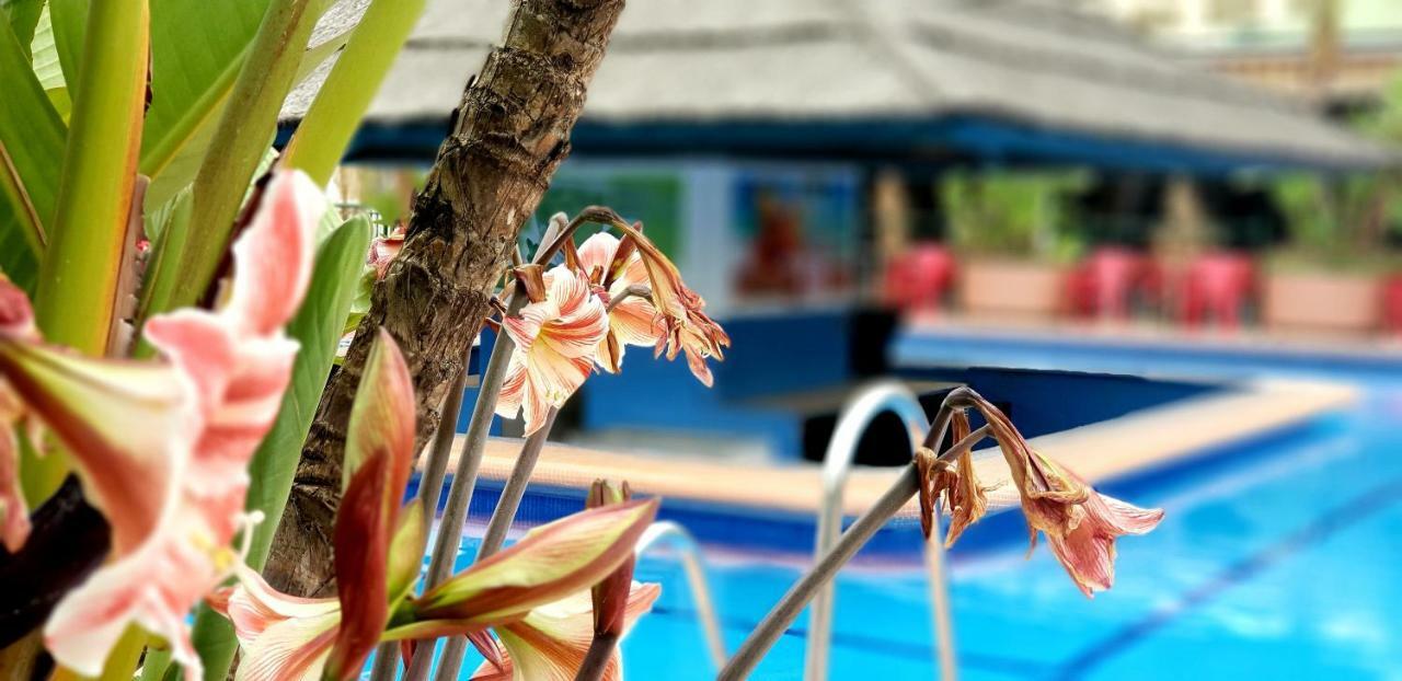 El Estudio De La Playa Benalbeach Holidays Deluxe Бенальмадена Екстер'єр фото